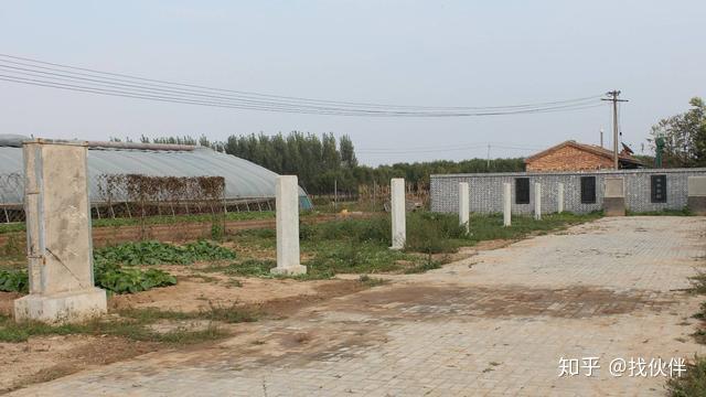 找伙伴乡村文化振兴魏湾镇东魏村碑林