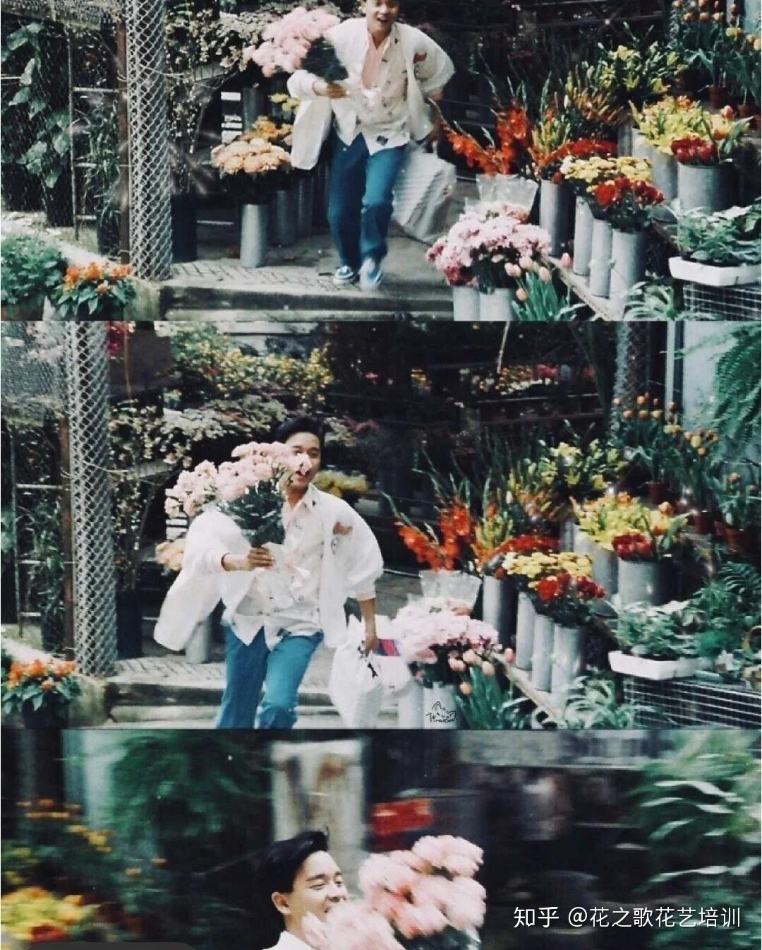 花之歌 | 等到春暖花开渐浓时,我们就见面吧! - 知乎