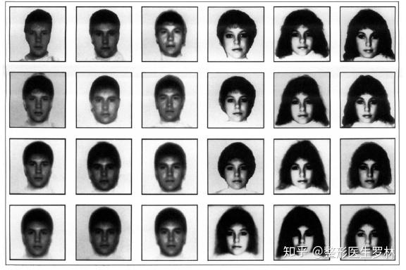 美容整形的一些美学标准关于马夸特黄金面具