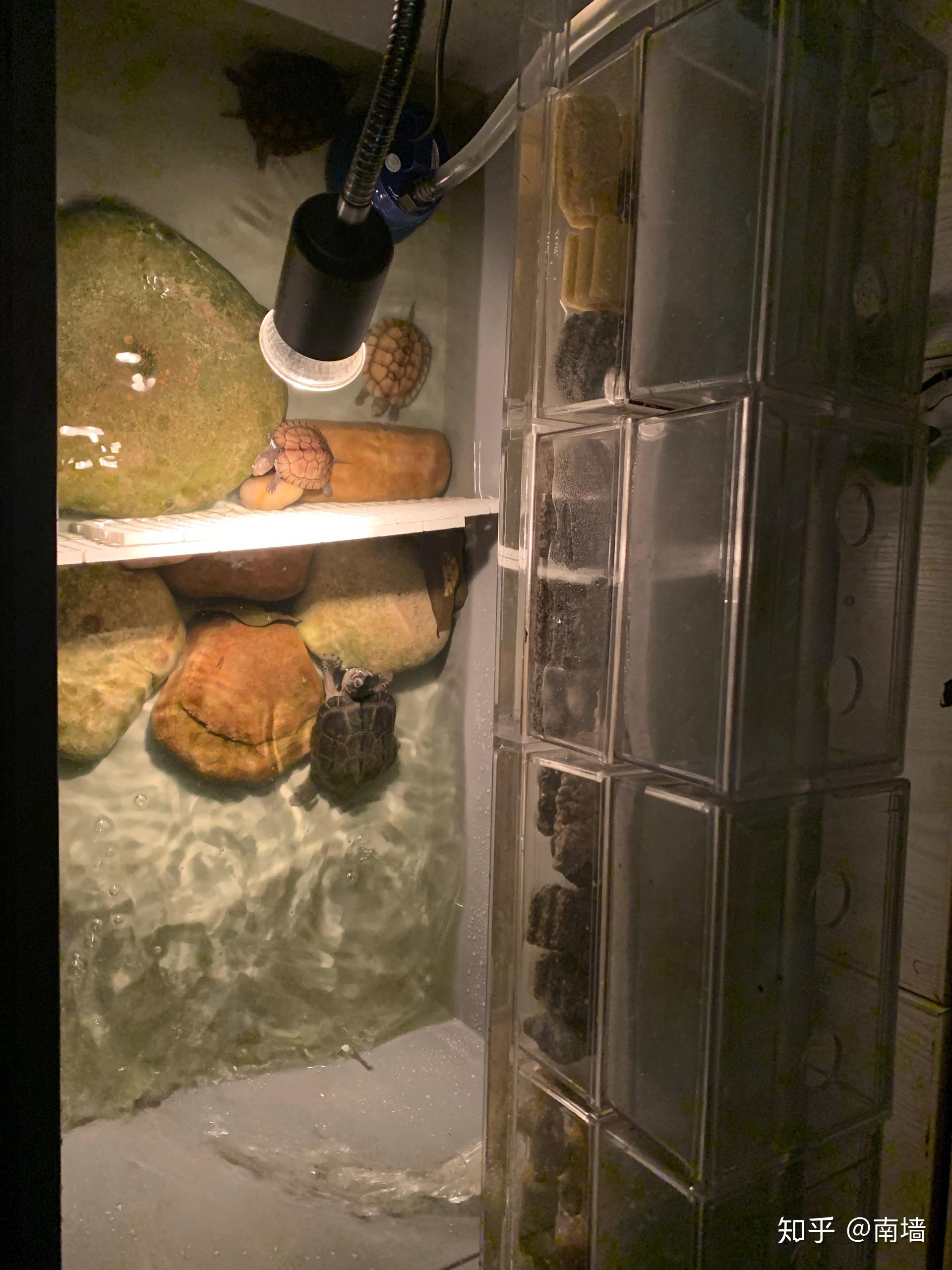 一个80的整理箱60.76元,25w水泵26.