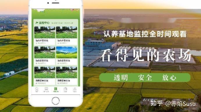 认养农业新农业模式走红互联网智慧农业助力乡村振兴