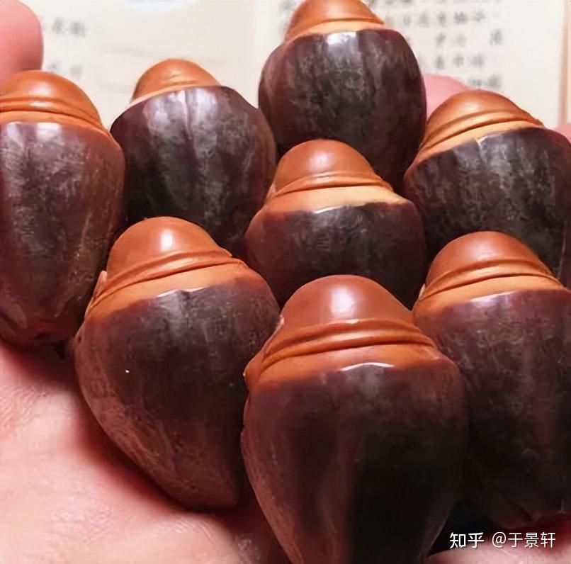 你玩的橄榄核是什么品种?搞清楚橄榄核的分类,玩核不迷茫!