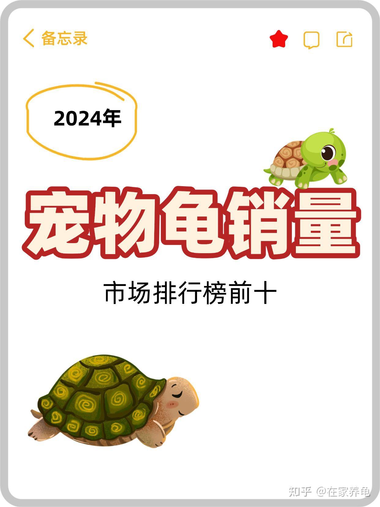 2024年这十种龟最受龟友追捧 - 知乎