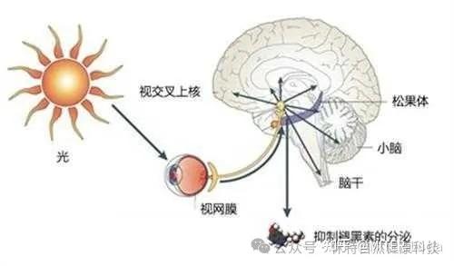 光疗|照亮身心健康的自然疗法 - 知乎