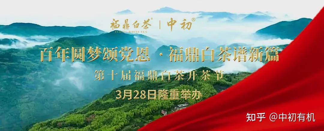 生态福鼎开盛宴白茶有机谱新篇福鼎白茶开茶节花开正当时