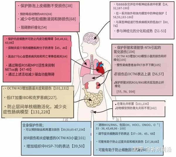史上最强的抗氧化剂 | NNB®MitoPrime®麦角硫因 - 知乎