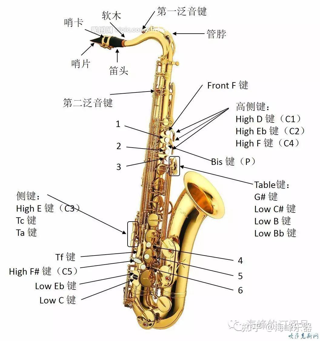 萨克斯口型图解 示范图片