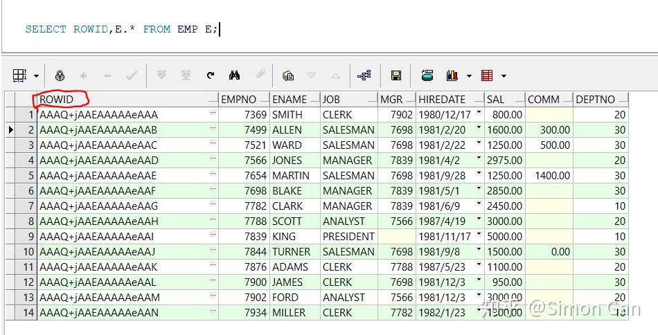 Rownum Pl Sql Example