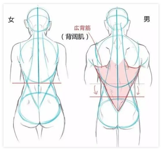 画女硬说男男女之间有这些大不同你知道吗