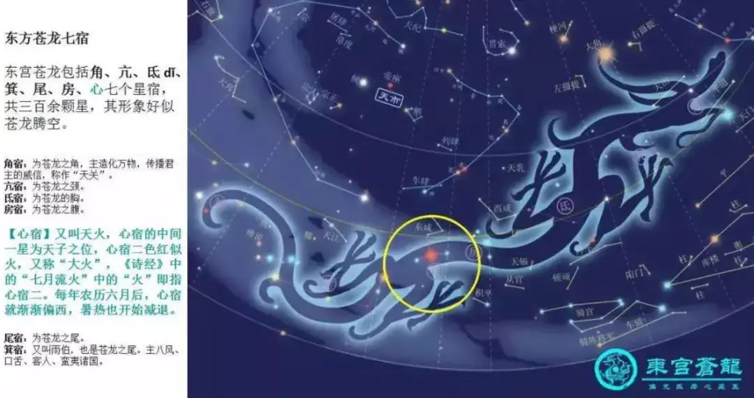 2,龙图腾崇拜说苍龙七宿的出没与一年四时周期相一致,春季于东方抬头