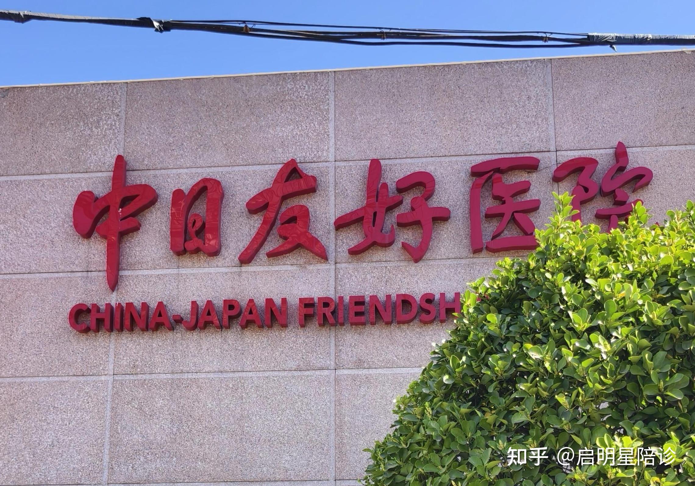 中日友好医院陪诊代挂号行动不便全程帮扶，出行更安全的简单介绍