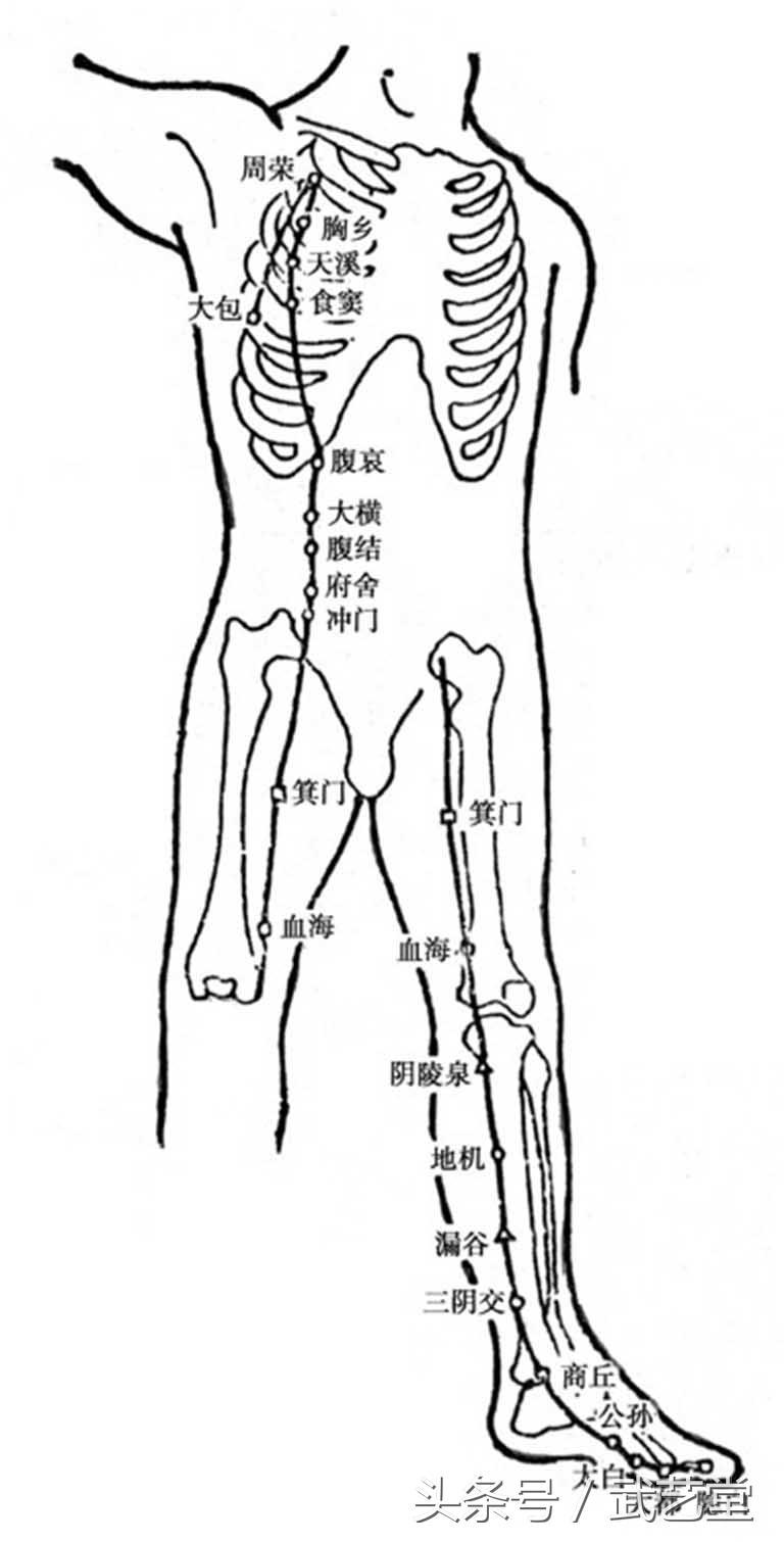 十二經絡走向圖及穴位養生調理方法