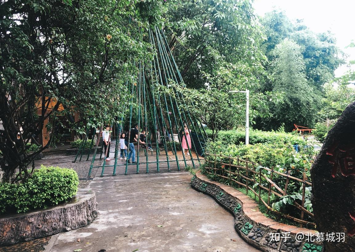 银井村的这座秋千坐落于