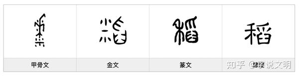 稻——每日一字·禾部字 - 知乎