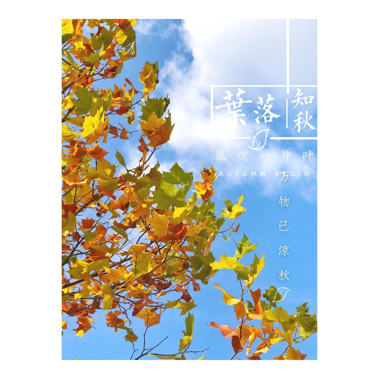 天凉好个秋 - 知乎