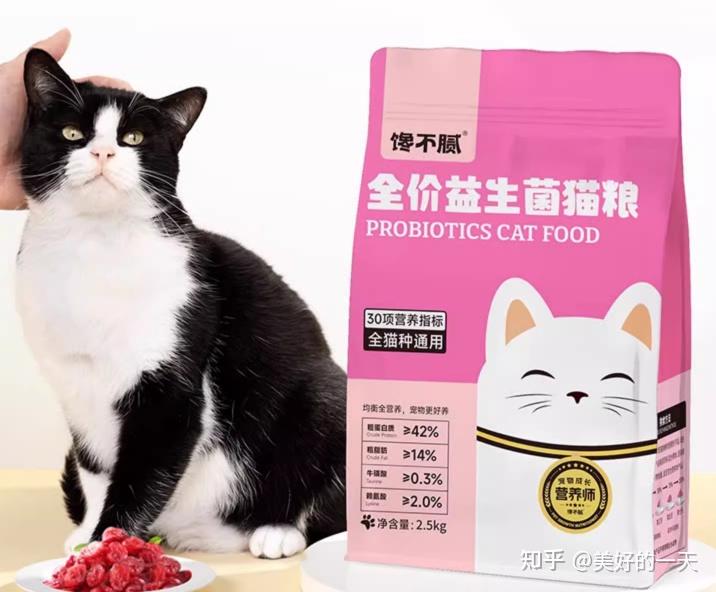 新手养猫,这8款猫粮别错过!