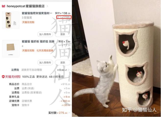 怎么买猫便宜图片