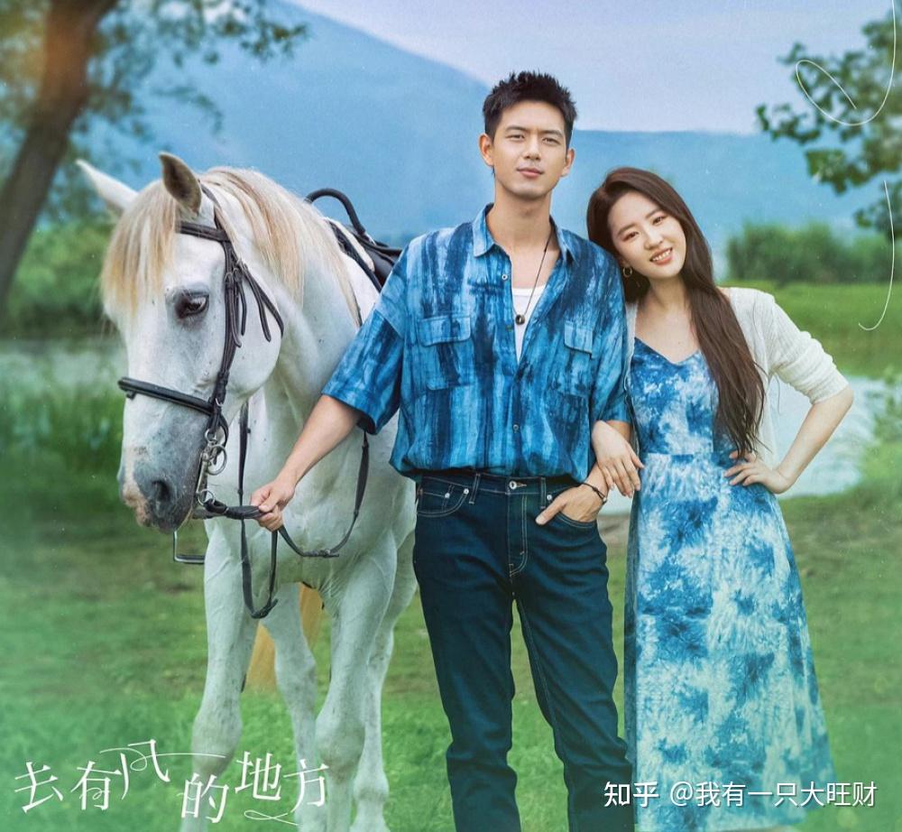 《去有风的地方》温暖乐观的神奇女侠陈南星,值得许红豆怀念一生(有风的地方就有风景照片)