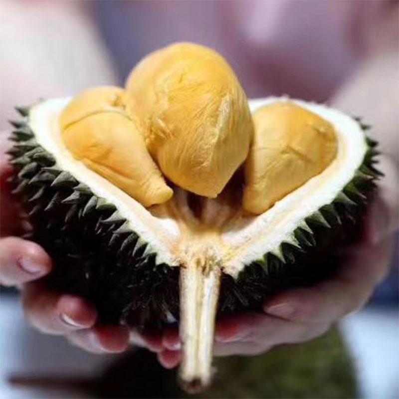 v2-38527f0692c4f3fa99af50c49d3a7d18_1440w.jpg?source=172ae18b