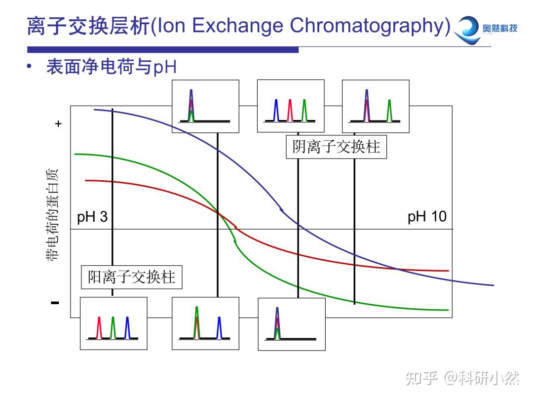 【科研干货】强者不会停止学习之——蛋白纯化技术【2】 - 知乎
