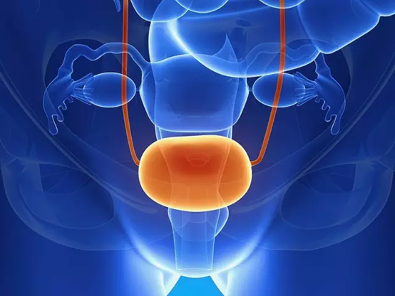 v2-38717ab4873b646ba40f2fb449c0e2d9_r.jpg