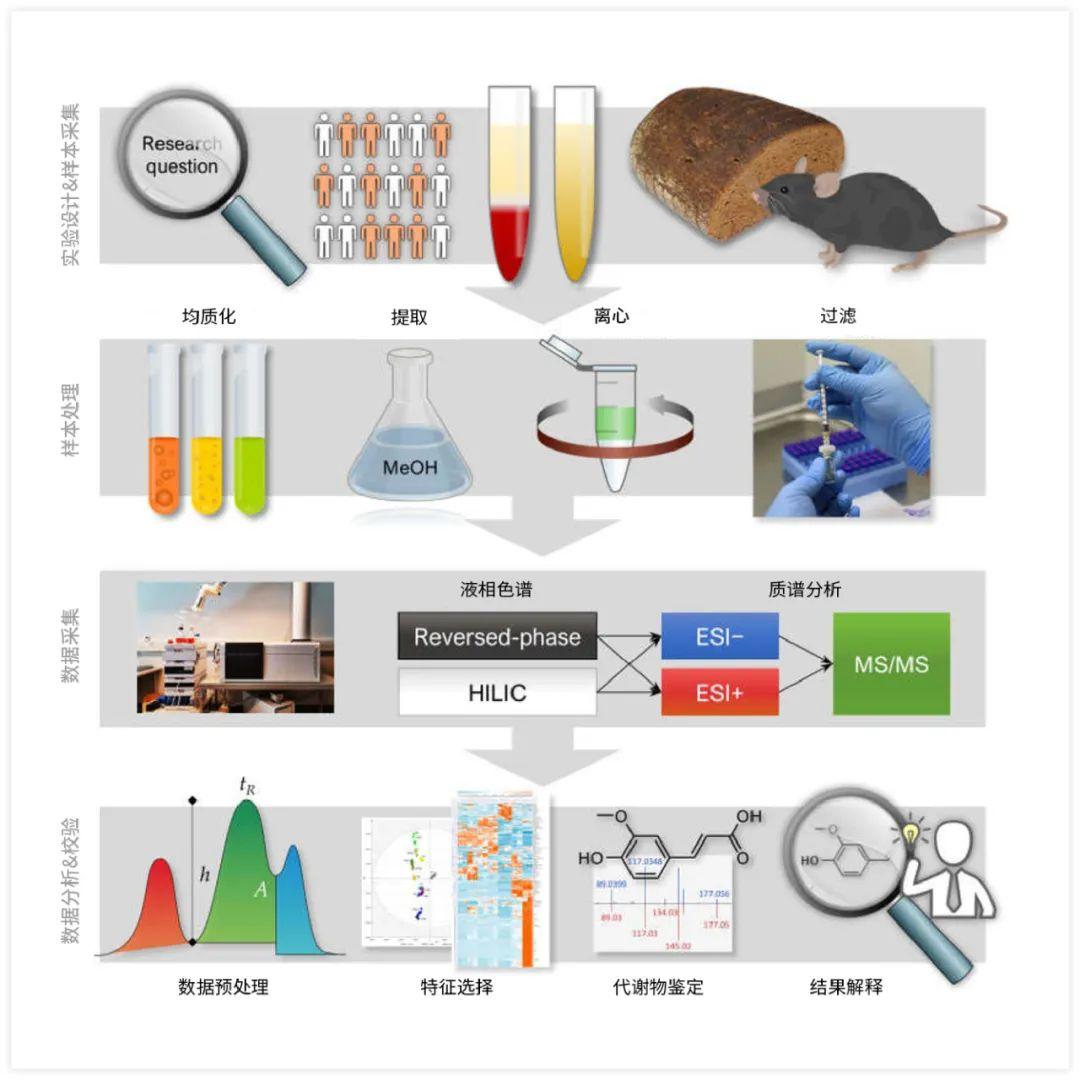代谢组学基础实验篇 | MedChemExpress - 知乎