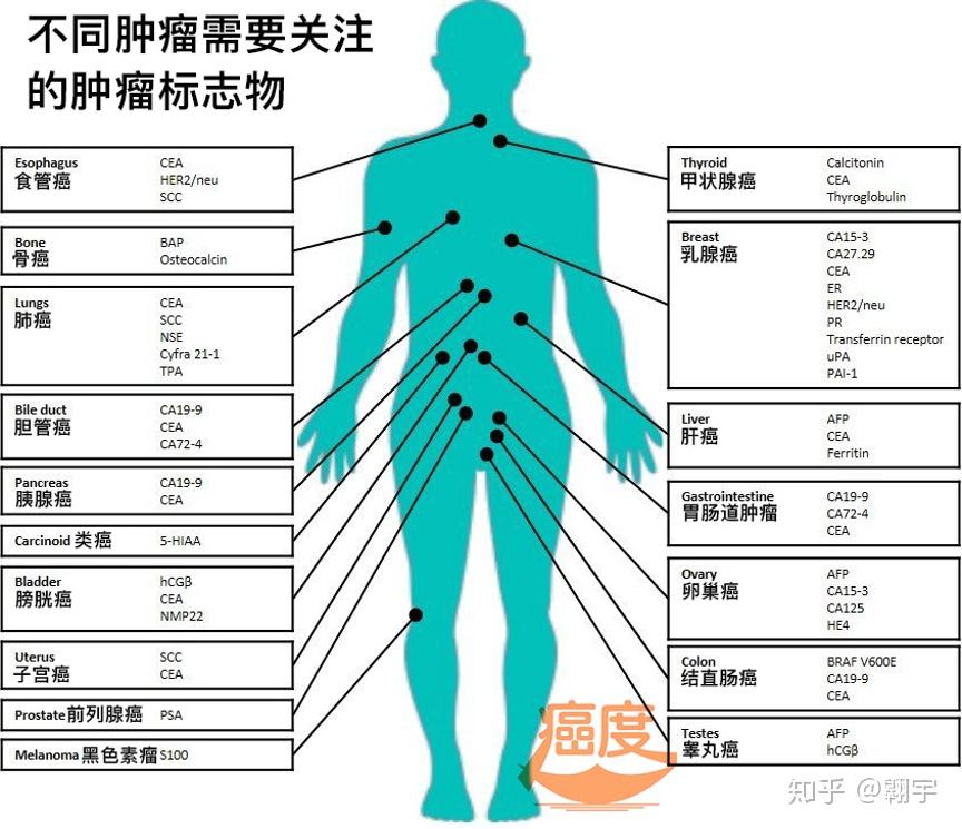 肿瘤标志物对癌症诊断治疗和复发监控的意义