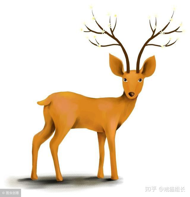 猫能吃地瓜胡萝卜和南瓜吗?