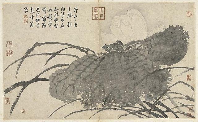 各美其美画这些荷花的是明朝最牛的那些画家