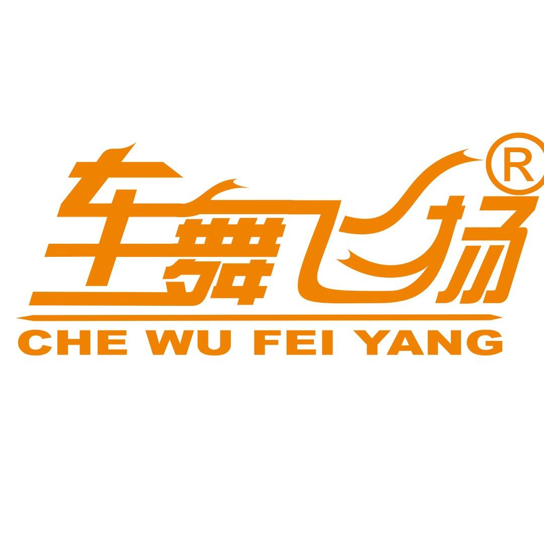 车舞飞扬TV