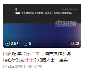 【图吧杂谈】为什么垃圾佬用国产CPU但不用国产Linux