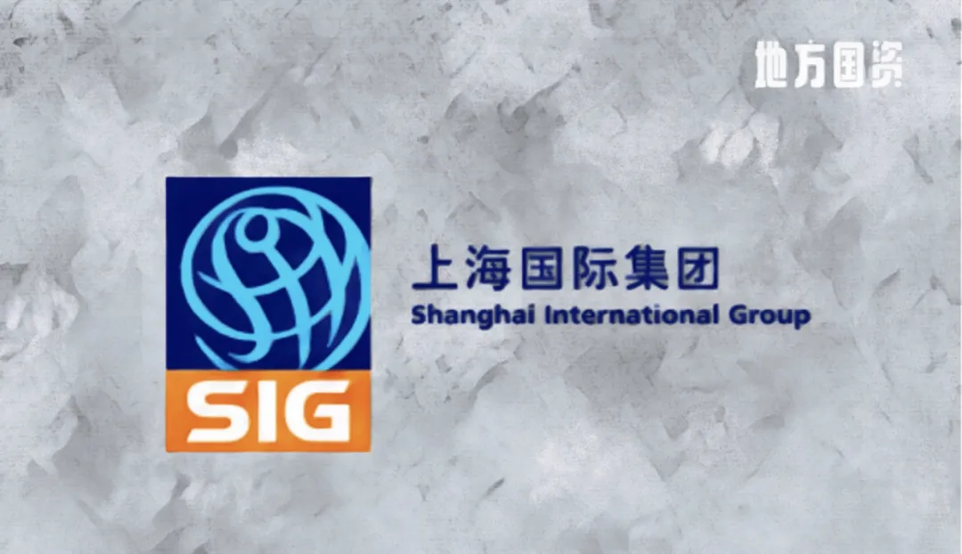 重磅上海国际集团系股权投资全景报告iir