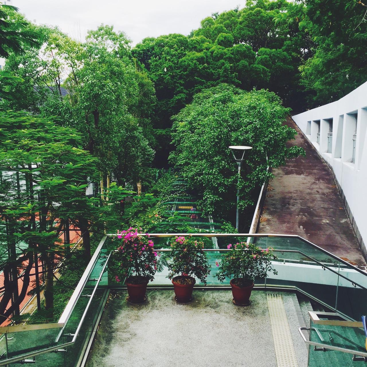 香港城市大学的口碑如何?内地学生去香港城大