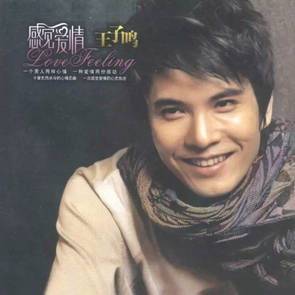 除了王子鸣,类如刘欢,韩磊,毛宁,陈明,满江,金海心等内地歌手,几乎