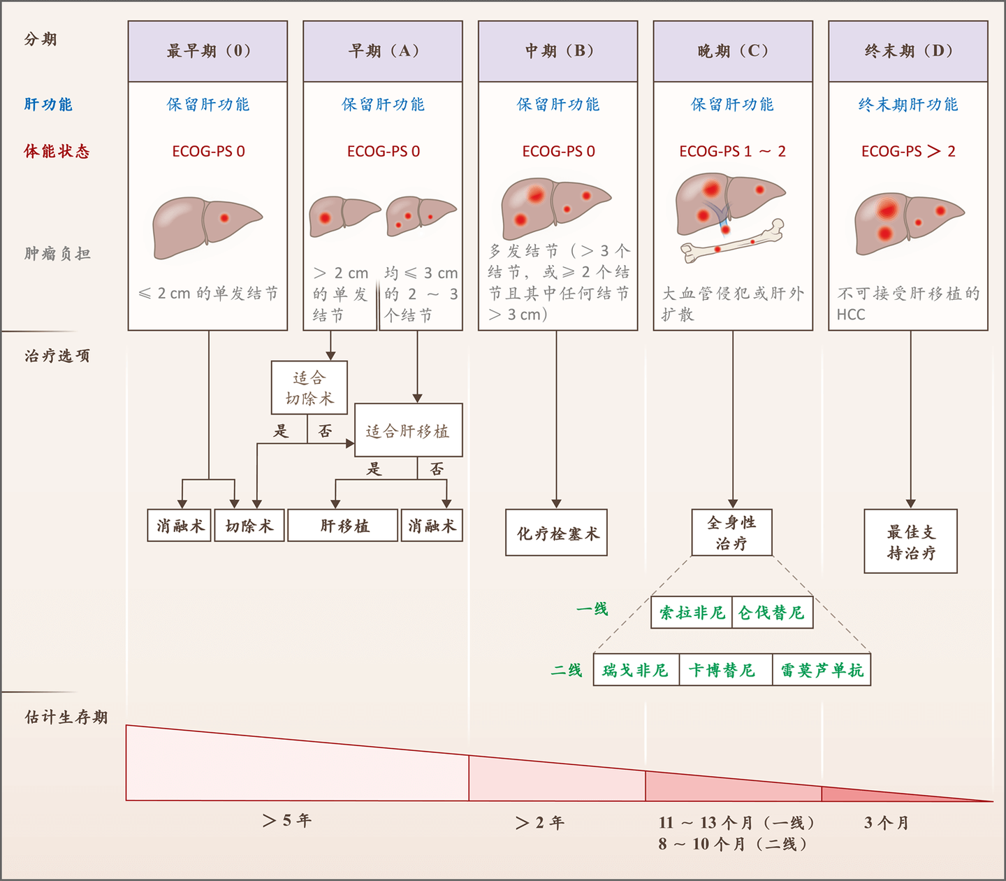 得了肝癌 还能活多久 知乎