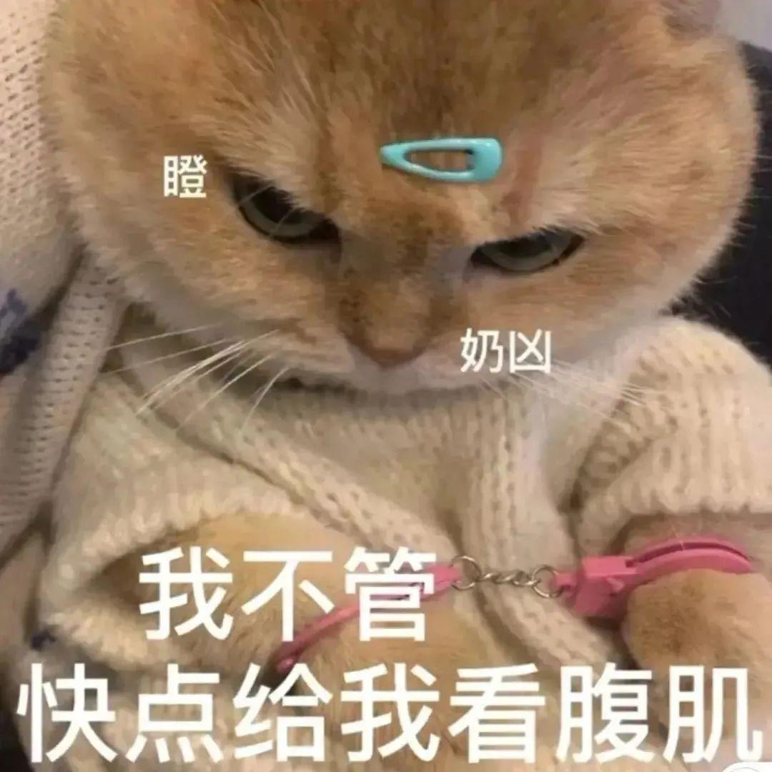 120张万能的表情包推荐-万能表情图片大全