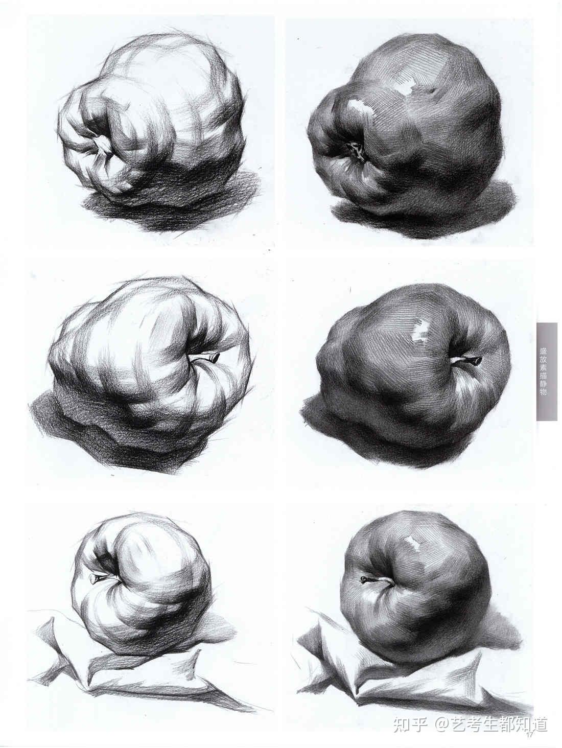 有没有素描静物比较高清的单个或组合的临摹图
