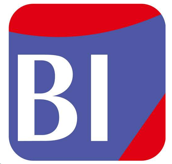 bi系统的数据可视化方法分体式bi试衣模式