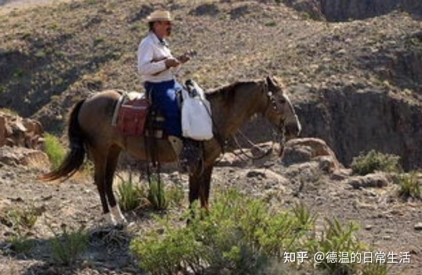 又一次火了一把,更有意思的是後面還跟著十幾個兄弟州跟著搖旗吶喊