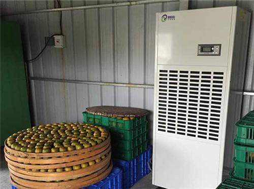 柿饼烘干除湿机环保节能柿饼烘干设备