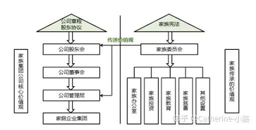 家族三代结构图图片