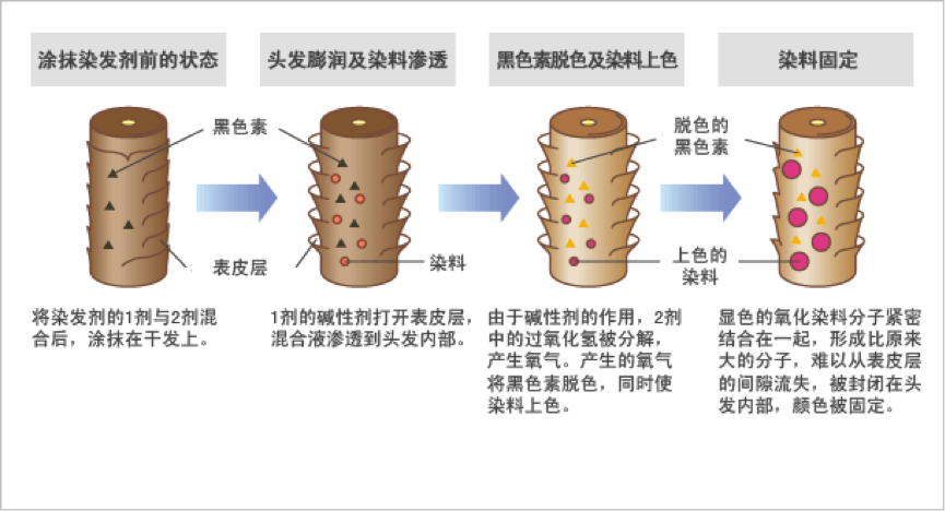 碱发原理是什么_碱铝是什么(2)