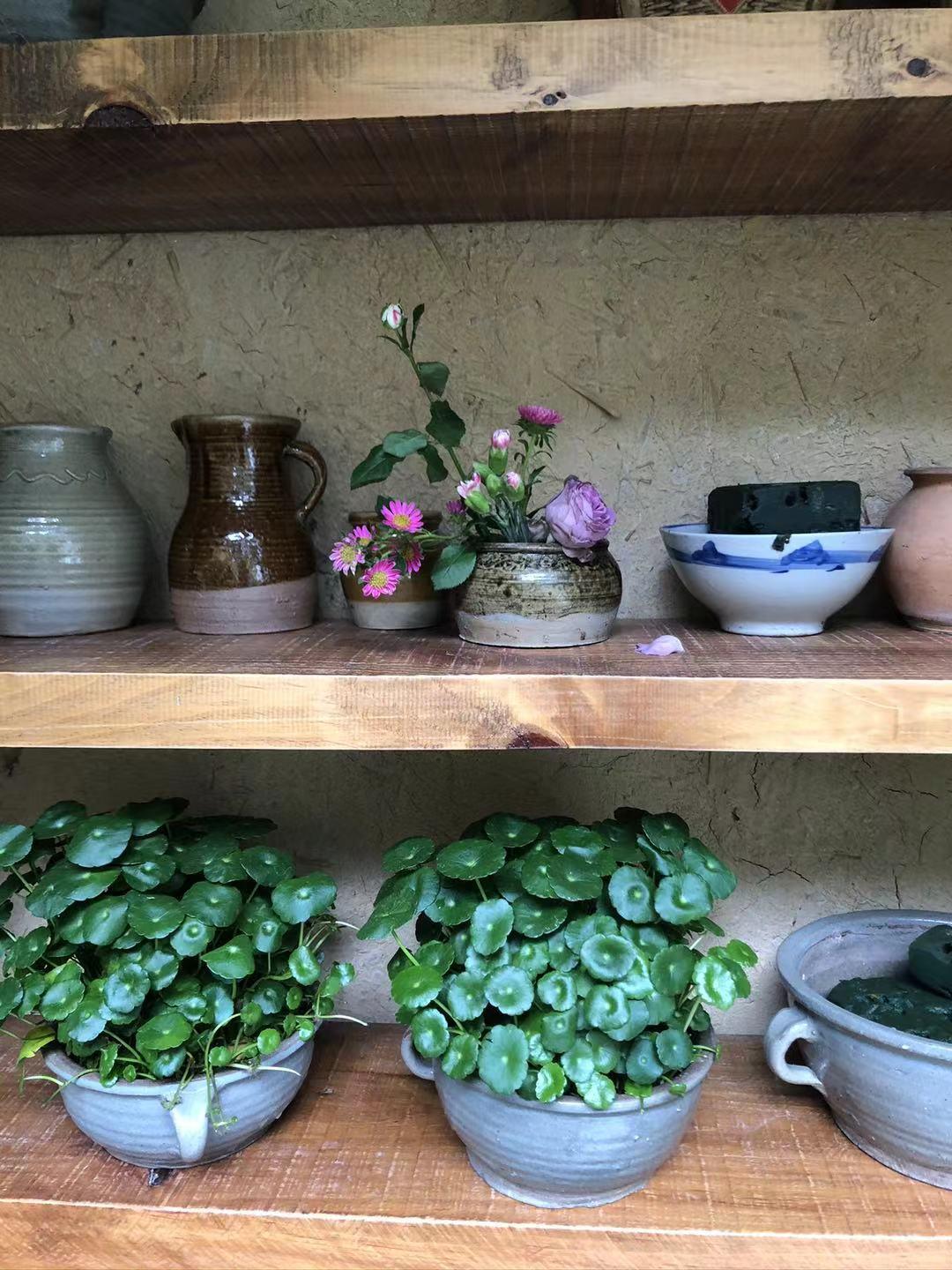 被宠爱的楠子的半生 知乎