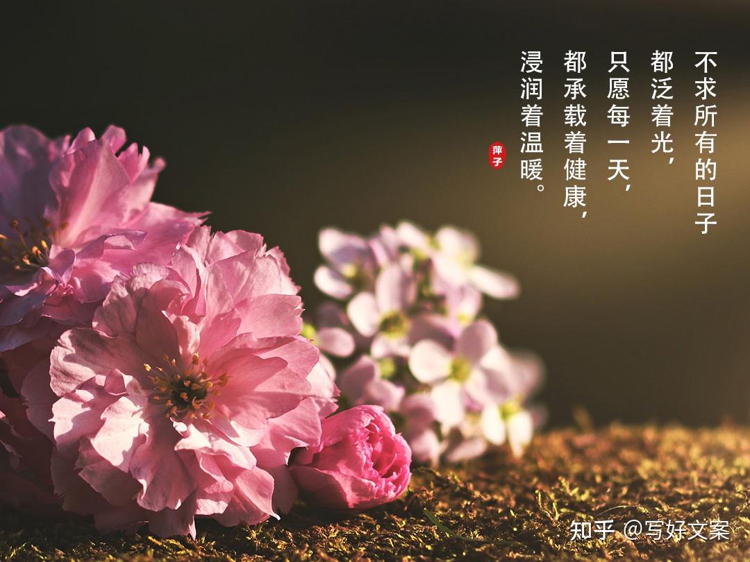 朋友圈发视频文案日常 v2-3918375742d8a6266497f5c63be2633d_r.jpg
