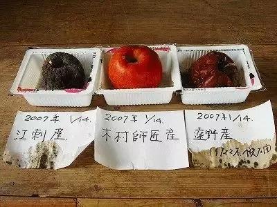 花木郎 无农药化肥的奇迹苹果 是怎么炼成的 知乎