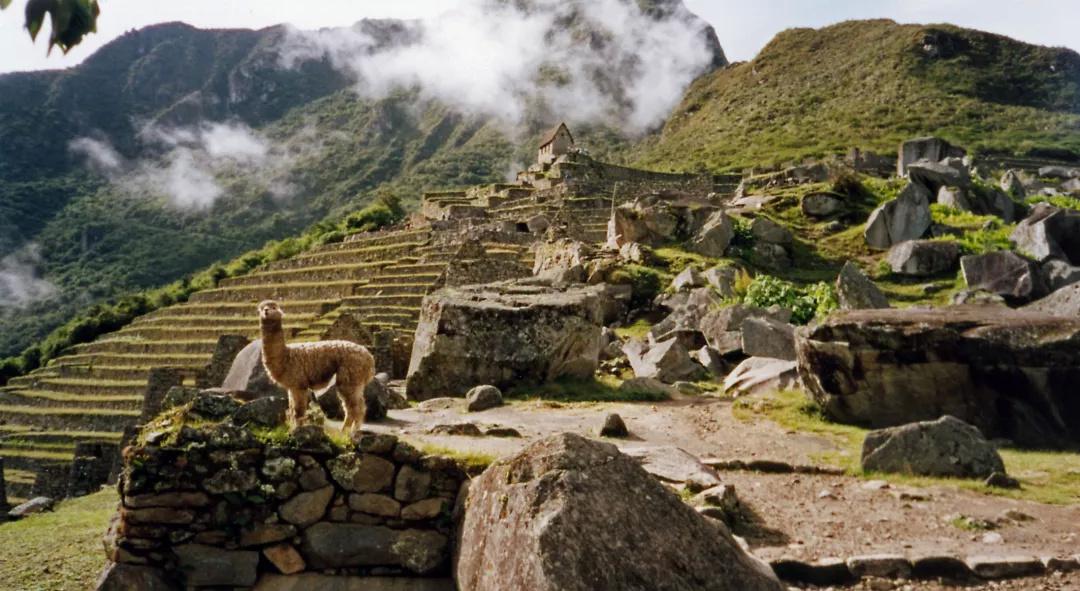 上下五千年,秘鲁居然是地球另一端的文明古国?