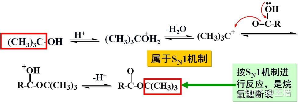 为什么酯基在酸性条件下水解是可逆的? - 知乎