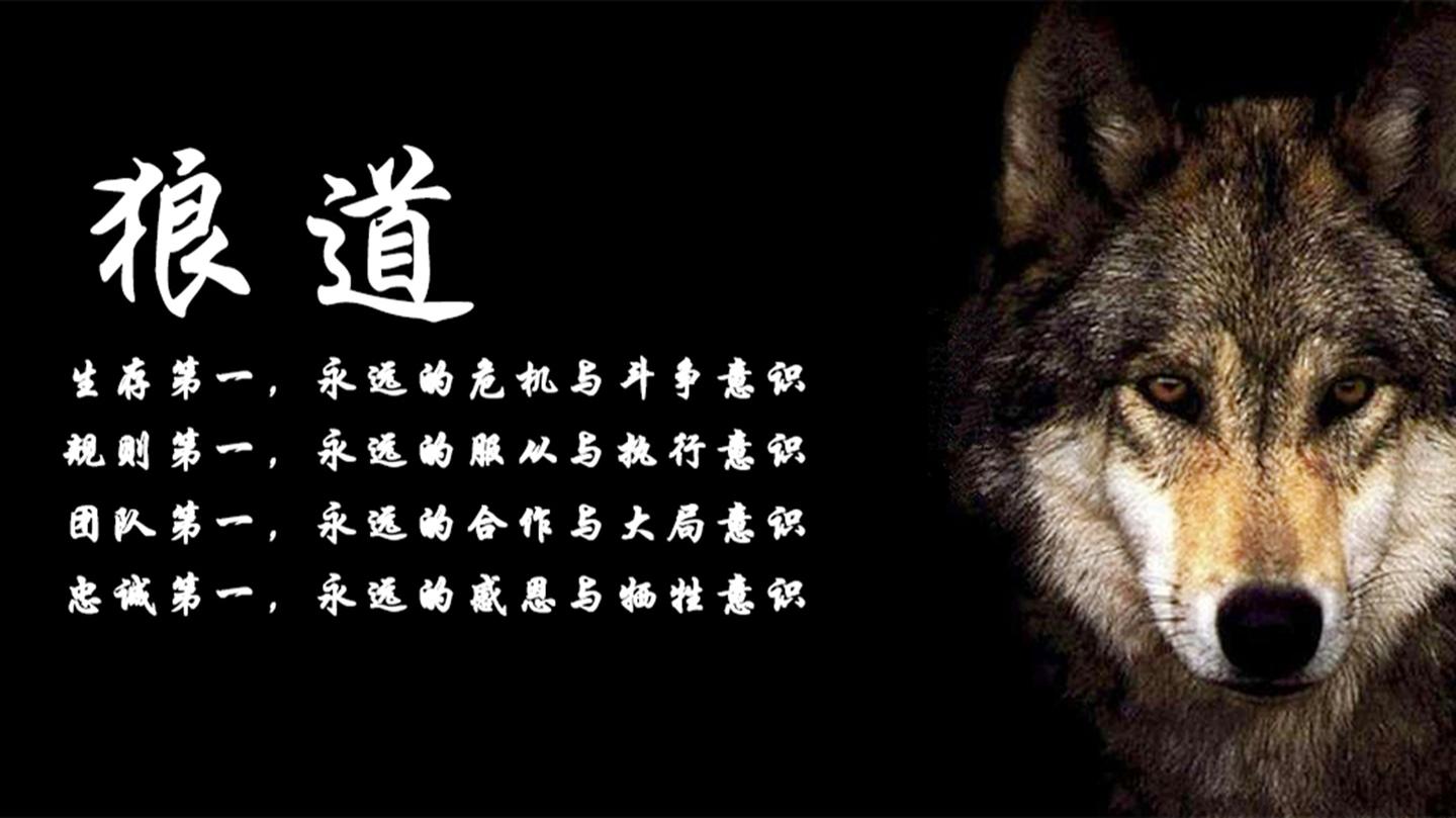 能成大器的人都具有4种狼性