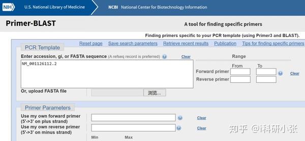 I实验 Pcr专题 手把手教你用ncbi进行在线引物设计及验证 知乎