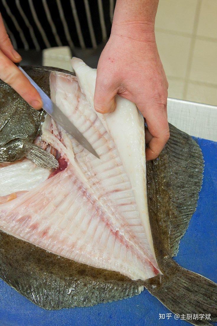 1067:鲽鱼?比目鱼?龙利鱼?都是什么鱼?有什么区别?